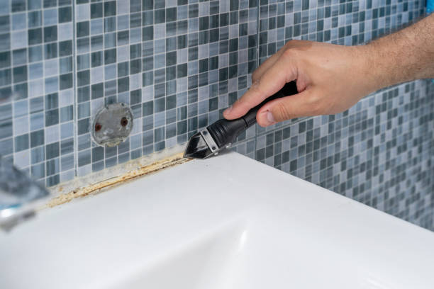 Best Commercial Mold Removal  in Ames, IA